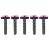Ruifuチタン合金六角穴M6x12 15 20 25 30 35mm M8x 15 20 25 30 35 40mm自転車オートバイホイールナンバープレート取付ボルト5本セット (M6x25mm, レインボー)