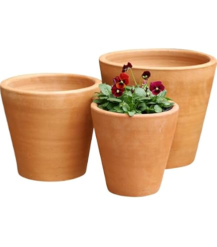 Amazon | 植木鉢 テラコッタ E-39 3SET(L/M/S) | 鉢