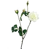 ローズスプレーX3(M) FXFR0009CR