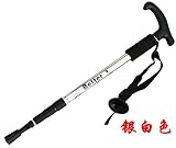 Ertans(TM) 2x 52-110cm杖ハイキング用ノルディックウォーキング用スティックトレッキングトレッキングウォーキングハイキングスティックポールアルペンストックアンチショック[シルバー]