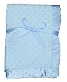 LUXEHOME Super Soft Microfiber Plush Baby Blanket (Blue) by LUXEHOME