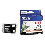 エプソン SC-PX5V2用 インクカートリッジ（フォトブラック） ICBK79 ds-1456040