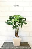 観葉植物 ミニ パキラ 3783 - 造花 消臭◎CT触媒 - インテリア フェイクグリーン