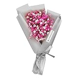 Fenteer 綺麗な　満天星　乾燥花　花束　母の日　先生の日　恋人　誕生日　ギフト花　ギフトボックス付き　6色選択　 - ピンク