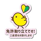 免許取り立てです! ヒヨコ マグネット 車 縦11cm 3カラー (ピンク(艶あり))