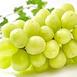 山形県産 ぶどう シャインマスカット 1房 (秀品/1房 700g×1房/冷蔵品) ぶどう ブドウ 葡萄 山形 産地直送 果物 フルーツ お取り寄せ