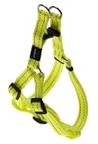 Rogz Utility Medium 5/8 Snake Adjustable Reflective Dog Step-in-Harness, Yellow by Rogz