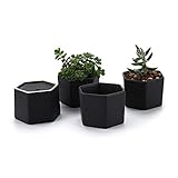 T4U 7CM 陶器ミニ植木鉢 六角形 マット表面 多肉植物 サボテン鉢 フラワーポット プランター容器 黒 4個入り