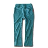 (ディーティー) DT キッズ M1-2 全20色 美脚ストレート ストレッチ パンツ ロング パンツ カラー レギパン 95 アッシュブルー