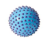 Purple Senso-Dot Ball - Large