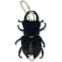 41w-RrmyqtL._AC_UL210_SR210,