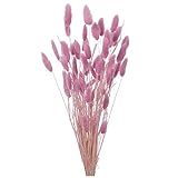 東京堂 ドライフラワー  ラグラス (15g入り) クリスタルピンク FD004583-110
