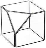 スパイス フラワーベース ガラステラリウム キューブ S GFGY4011