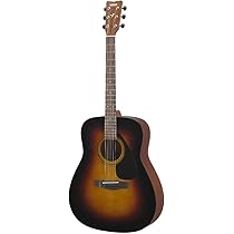 色々セット付き アコースティックギター Amazon.co.jp: YAMAHA F-310P TBS 小物セット付き