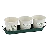 (シージービー・ギフトウェア) CGB Giftware Vegetable Patch メッセージ入りプランター3個&ホルダー ガーデニング (ワンサイズ) (グリーン/ホワイト)