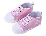 RoRykon　ベビー シューズ 子供 靴 スタンダード 軽量 滑り防ぐ 柔らかい靴底 スニーカー ファーストシューズ 上履き ズックシューズ 女の子 男の子 子供用歩行靴 (12CM, ピンク)