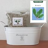 ベビーリーフ（デトロイト）の栽培セット/標準セット（液体肥料無し）プランターホワイト仕様