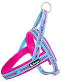 cocomall 喉に優しいハーネス 2022最新 TRUE LOVE日本授権店 犬用ハーネス 犬用胴輪 ドッグ ペット用品 3M反射材料 訓練 お出かけ ネオプラン素材 小型犬、中型犬、大型犬に向け 通気性 調節可能 夏に対応 (XXS, ブルー＆ピンク)
