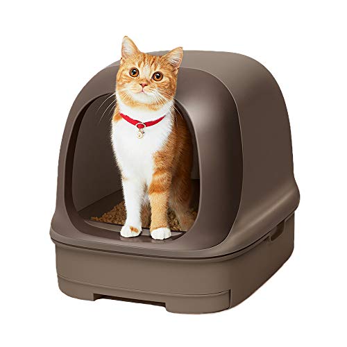 https://images-fe.ssl-images-amazon.com/images/I/41w5o%2B8LHTL.jpg