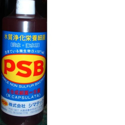 Mua シマテック Psb 1リットル 2箱 24本 Tren Amazon Nhật Chinh Hang Fado