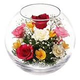 レンデフロール（Reine De Fleur） ハンドメイドドライフラワー バラ・フリージア・かすみ草 A-N