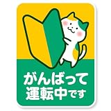 これみて！ 【ステッカータイプ】初心者マーク 猫デザイン 車用 プレゼント かわいい サポート 補助 孫 高校生 社会人(ステッカー, ねこ A)