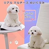 ぬいぐるみ イヌ 人形 マルチーズ犬 こども クリスマスプレゼント インテリア雑貨 癒しグッズ (マルチーズ)