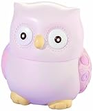 Lillian Rose Coin Bank, Pink Owl, 4" by Lillian Rose [並行輸入品]