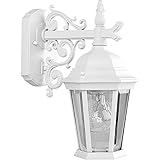 Progress Lighting P5682-30 Wall Lantern with Scroll Arm Combined with The Brilliant Clarity Of Clear