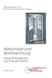 Wirklichkeit Und Wahrnehmung: Neue Perspektiven Auf Theodor Storm (Publikationen Zur Zietschrift Germanistik Neue Folge)