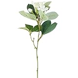 パッケージの4クリーミーホワイト人工Stephanotis Stems with Leafyアクセントの作成の花柄Arranging、工芸、