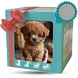 新型 ロボット犬 おもちゃ スマートAIロボット犬 可愛い犬型 私の最高の 子犬 本物の犬のように動く犬 歩く 吠える 尻尾を振る 男の子 女の子 誕生日 クリスマスプレゼント