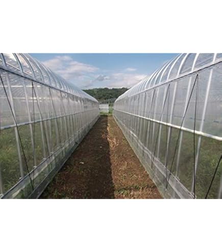 はじめ　POフィルム スソ張り専用POフィルム | クラフト紙袋をはじめ包装資材の製造なら