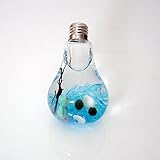 Hommy 水耕栽培　ガラス花瓶　フラワーボトル　水耕　ボトルテラリウムのコンテナ　装飾　電球型