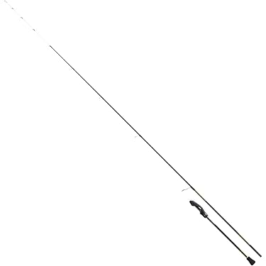 Amazon.co.jp 最新リリース: ロックフィッシュ・アジングロッド の新着