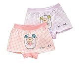 リトルガールズ快適なパンティー2PCSソフトコットン下着