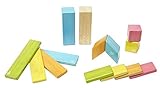 14 Piece Tegu Magnetic Wooden Block Set Tints [並行輸入品]
