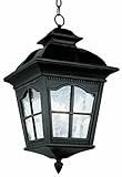 Trans Globe Lighting 5426 BK 4-Light Hanging Lantern, Black [並行輸入品]