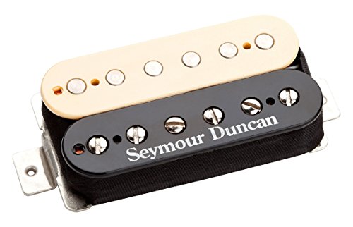 Seymour Duncan載せたレスポール: ミュジレポ