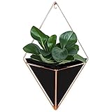 Starall　壁の植木鉢　幾何　壁掛け式フラワーベース　フラワーポット　植木鉢　サクサクミニサボテン　ハンギング花瓶　装飾容器　　2個/セット (L, ブラック)
