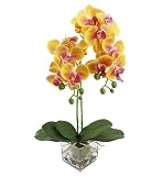20 "人工シルクOrchid Arrangement withガラス花瓶、12頭リアルタッチ人工花盆栽 20-inch イエロー liv045