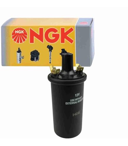 Amazon | MSD Street Fire 5524 高性能イグニッションコイル