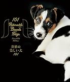 世界の美しい犬101