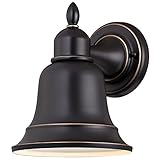 Westinghouse 6204300 Roosevelt 1 Light Outdoor Wall Lantern, Amber Bronze [並行輸入品]