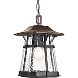 Progress Lighting P5579-84 One-Light Hanging Lantern, 8.5-Inch [並行輸入品]