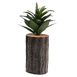 Baoblade Baoblaze 木製の人工的な多肉植物の切り株リビングルームの壁の装飾 - 9