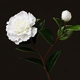 BAGEHUA 椿の花シミュレーションお花で飾られているリビングルーム家具サプライ品花花のテーブルの花のブーケの花の花、白