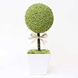 A plus floral art インテリアグリーン モス トピアリー ムースククル フェイクグリーン 観葉植物 苔 苔玉 プリザーブドフラワー