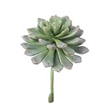 asca 造花 サッカレンテン グリーンレッド 全長約12cm