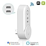 Lzcat スマートプラグAlexaワイヤレスWifiミニアウトレット（2つのUSBポート、LEDパワーライト付きタイミング機能、スマートフォンによるリモートコントロール、音声コントロール）Amazo